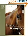 Equine Ophthalmology