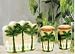 Palm Tree Napkin Holder/Salt & Pepper Shakers