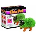 Chia Kitten
