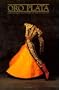 Oro Plata:  Embroidered Costumes Of The Bullfight