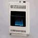 Desa #GWN10 10000BTU NAT Gas Heater