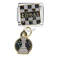 Chess Pawn Italian Charms