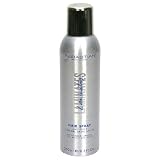 Sebastian Laminates Hair Spray 8.5 Ounces