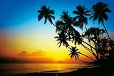 Produkt-Bild: 1art1 42472 Inseln - Strand, Morgend&auml;mmerung Poster (91 x 61 cm)