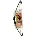 Bear Archery Scout Bow Set (Right Hand/Left Hand)