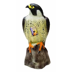 Defenders Falcon