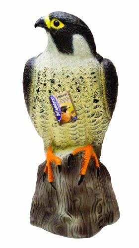 Defenders Falcon