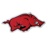 Arkansas Razorbacks Car Magnet