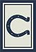 Indianapolis Colts Spirit Rug - 10'9x13'2