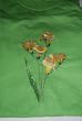 Embroidered Mint Green T with Yellowish Flowers Adult-M