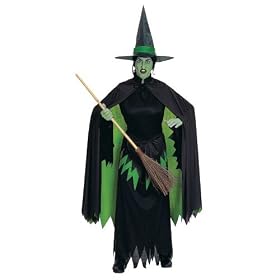 The Wizard of Oz Wicked Witch Adult