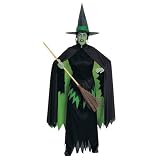 The Wizard of Oz Wicked Witch Adult Costume Adult (8-14)