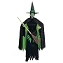 The Wizard of Oz Wicked Witch Adult Costume Adult (8-14)