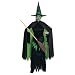Wizard of Oz Wicked Witch Costume
