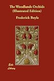 The Woodlands Orchids (Illustrated Edition)
