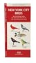 New York City Birds: An Introduction to Familiar Species in the Metropolitan Area (US City Nature Guides)
