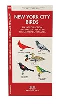 New York City Birds