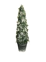 Evergreens Planta Artificial Cypress Pine Blanco/Verde