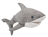Daphne's Shark Headcovers