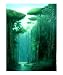 Nature Painting II