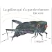 Le grillon qui n'a pas de chanson