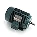 Leeson Electric 171631.60 - Severe Duty Motor- Mill and Chemical - 3 ph Phase, 10 hp, 1800 rpm, 208-230/460 V, 215T Frame, Totally Enclosed Fan Cooled Enclosure, 60 Hz