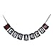 Engaged Banner Wedding Party Bunting Garland Engagement Decoration