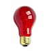 25 Watt A19 Transparent Red Light Bulb