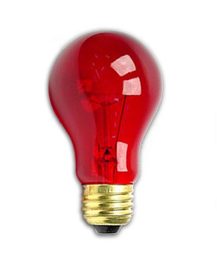 valentine Watt A19 Transparent Light BulbB000CP19XA