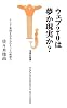 ウェブ2.0は夢か現実か?―テレビ・新聞を呑み込むネットの破壊力 (宝島社新書)