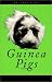Guinea Pigs in Your Life