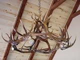 12 Lite TeePee Elk Chandelier