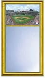 Texas Rangers Ameriquest Field Stadium Large Mirror