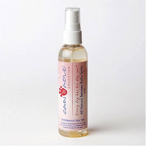 Cain & Able Between Baths Spritz - Peppermint - 4 Ounces