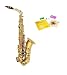 Conductor Model 300 Alto Saxophone - Gold Lacquer w Case, Accessories, Yamaha Care Kit and 1 Year Wa