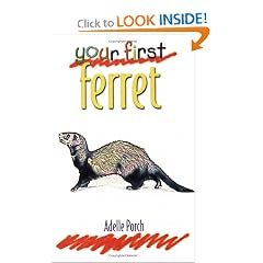 Your First Ferret (Your First Series)