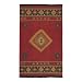 Antediluvian Rug - Red Clay (2'6x8' Runner)