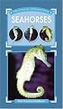 Seahorses (Practical Fishkeeping)