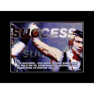 Motivational Posters Success on Amazon Com Wrestling Motivational Poster Success Everything Else