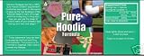 Nature's Renewal Pure Hoodia Formula - 60 Capsules