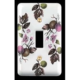 Switchplates White Porcelain, Porcelain Single Toggle or Dimmer Switchplate by Renovator's Supply