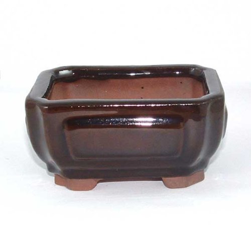 10.5cm Bonsai or Accent Pot – Brown Rectangle