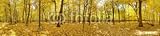 IMAGE OF Wallmonkeys Peel and Stick Wall Decals - Des Plaines River Forest Preserve - 36