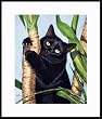 Figaro by Drew Strouble
