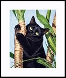 Figaro by Drew Strouble