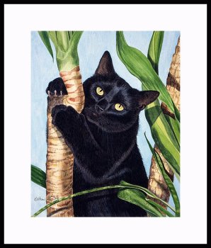 Figaro Framed Artist's Proof by Drew Strouble