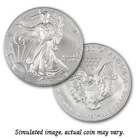 2010 Silver American Eagle - (Ship Feb)