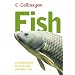 Fish (Collins GEM)