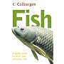 Fish (Collins GEM)