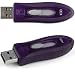Electronics : Kingston 1GB USB 2.0 Hi-Speed DataTraveler 110 (Purple) (DT110P/1GB)